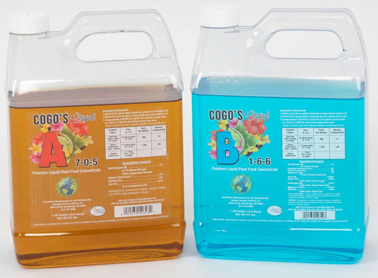 Cogo’s Original A 2.5 gallon