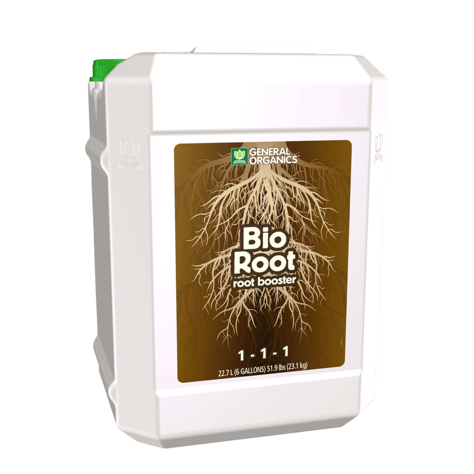 GO Bio Root Qt-Qt