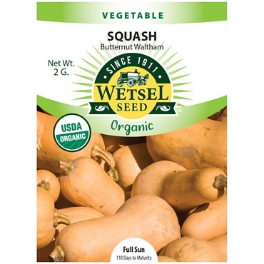 Wetsel Seed™ Organic Butternut Waltham Squash Seed - 2g Packet