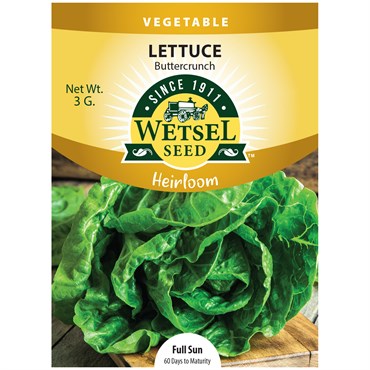 Wetsel Seed™ Heirloom Buttercrunch Lettuce Seed - 3g Packet