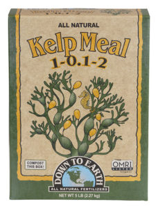 DTE  Kelp Meal-5 lb