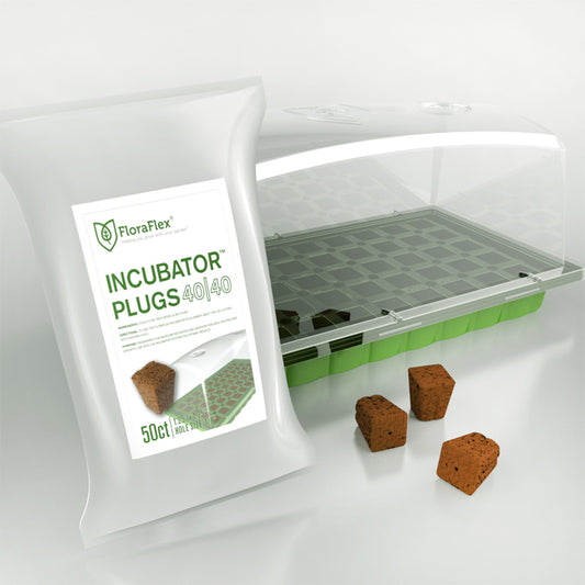 Incubator Plugs-50ct