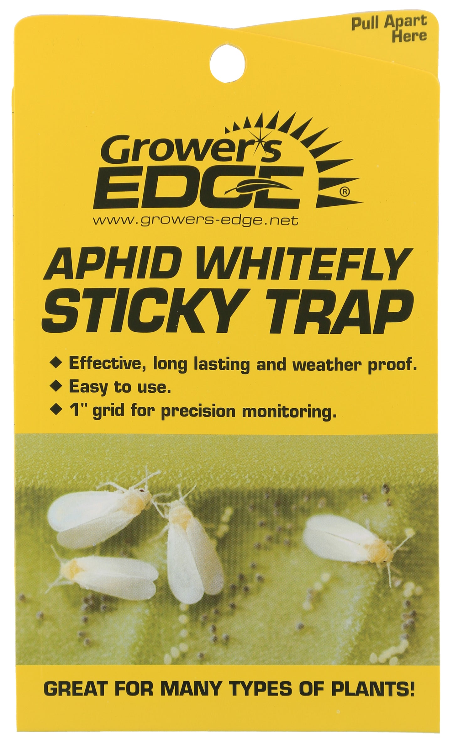 Grower's Edge Aphid Whitefly St