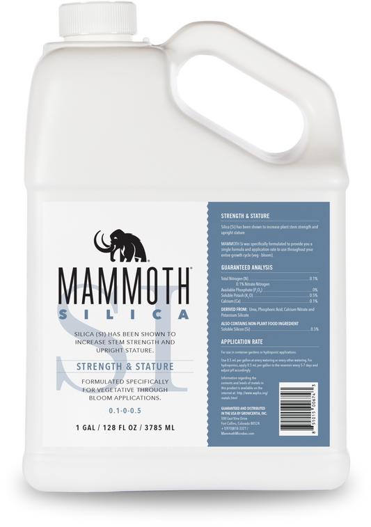 Mammoth Silica 5Gal-5 gal
