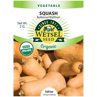 Wetsel Seed™ Organic Butternut Waltham Squash Seed - 2g Packet