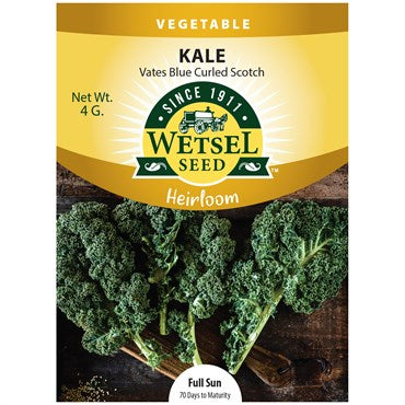 Wetsel Seed™ Heirloom Early Siberian Kale Seed - 4g Packet