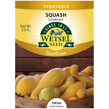 Wetsel Seed™ Heirloom Crookneck Squash Seed - 3.5g Packet