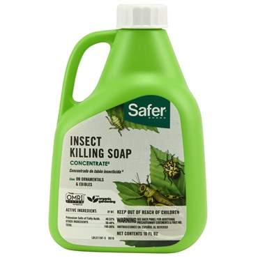 Safer Insect Killing Soap-16oz