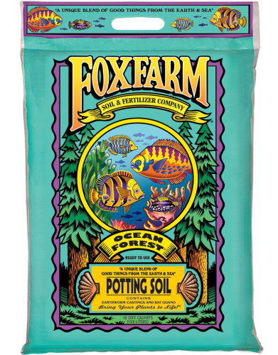 Ocean Forest 12 qt-12 qt