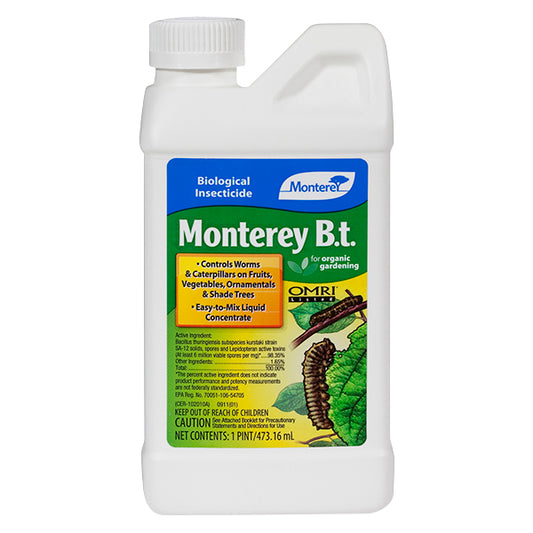 Monterey B.T.-Pint